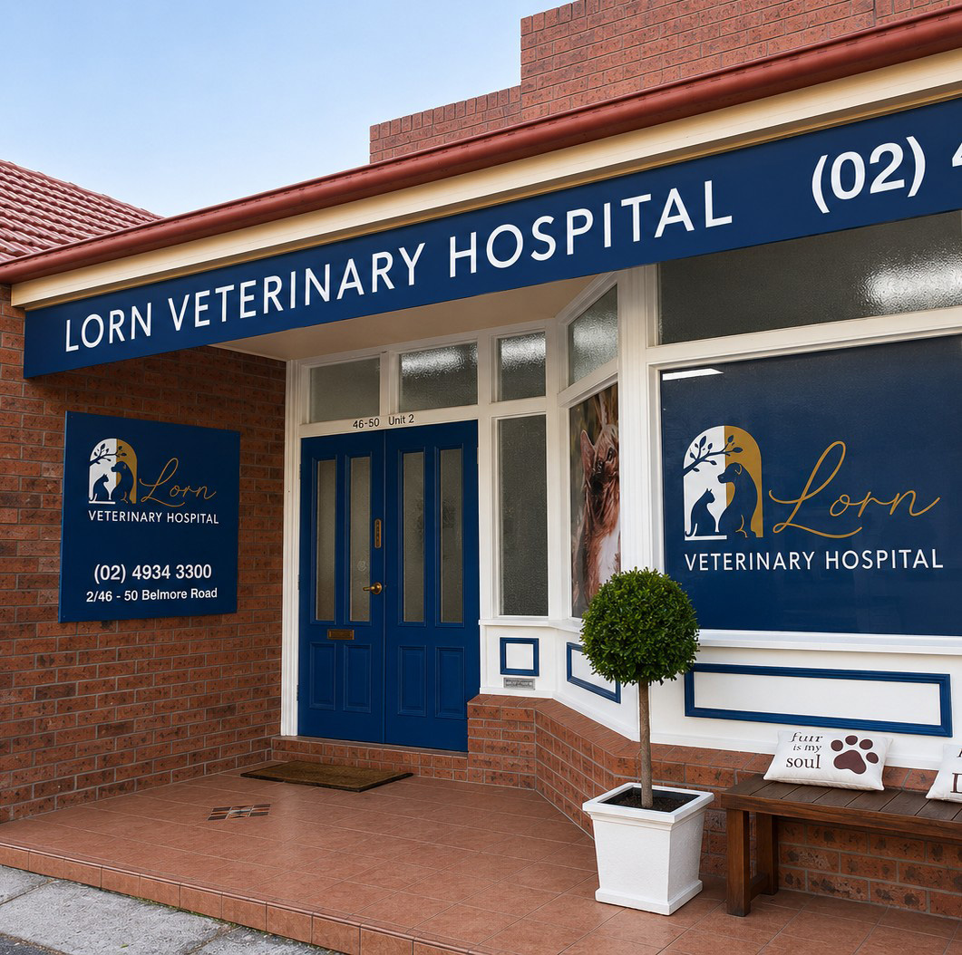 About Lorn Veterinary Hospital