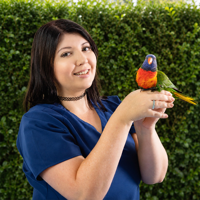 Meet Our Team at Lorn Vet - Ash