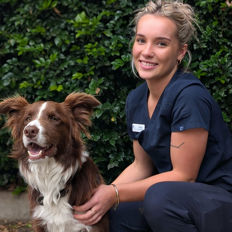 Meet Our Team at Lorn Vet - Chloe