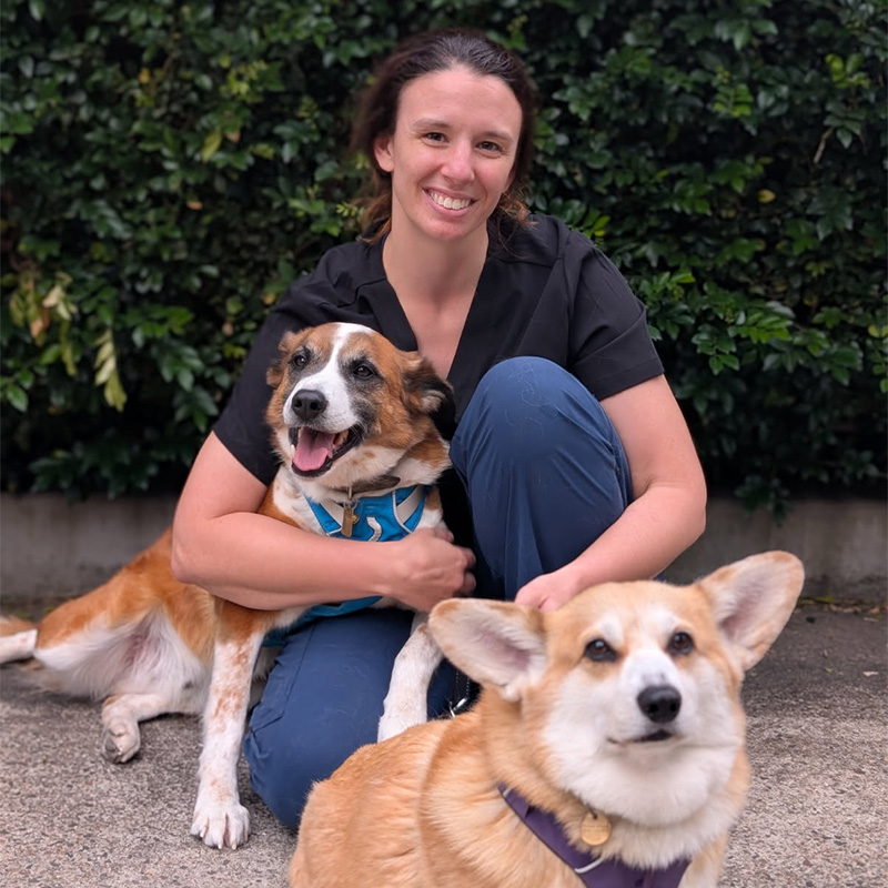 Lorn Veterinary Hospital - Dr Caitlin