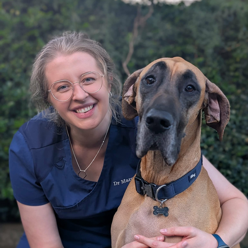 Lorn Veterinary Hospital - Dr Marena