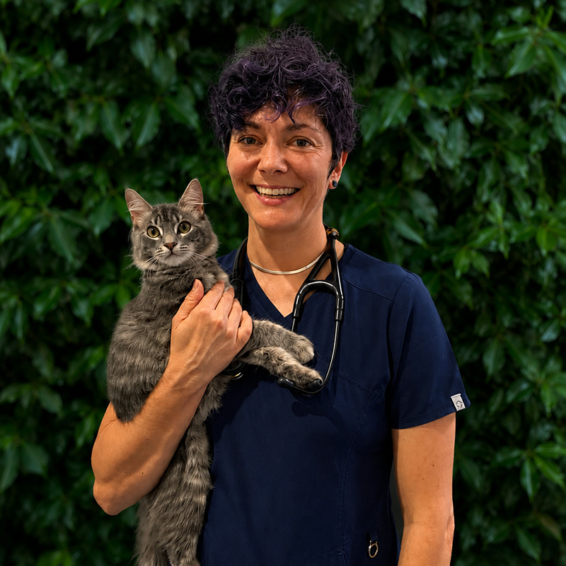Lorn Veterinary Hospital - Dr Brett 