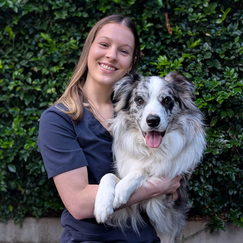 Meet Our Team at Lorn Vet - Indiana