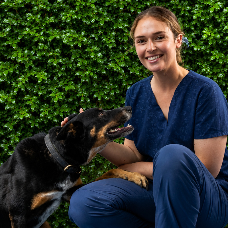 Meet Our Team at Lorn Vet - Kaitlyn