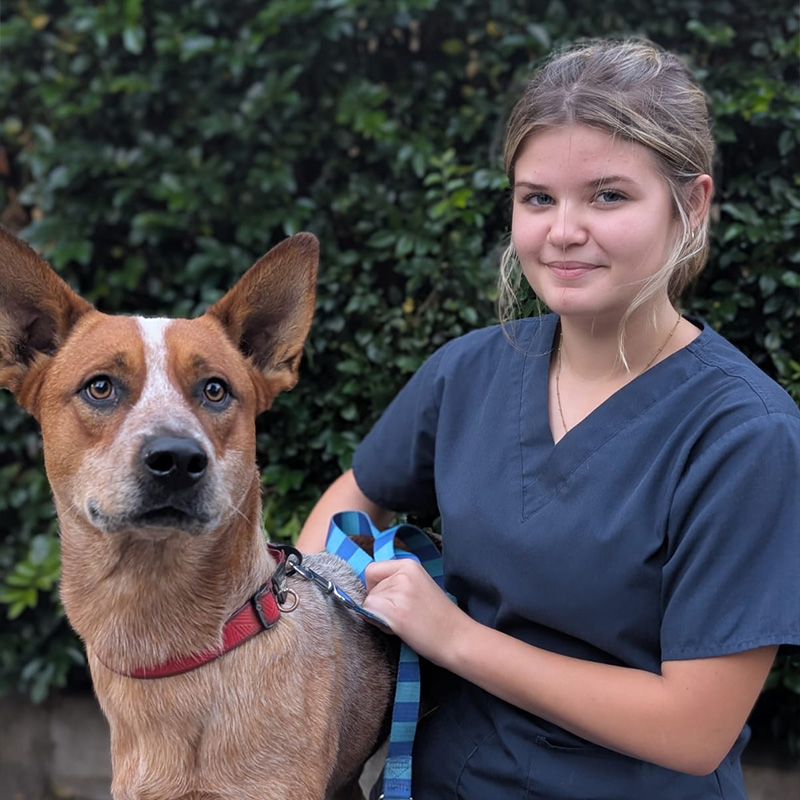 Meet Our Team at Lorn Vet - Shianna